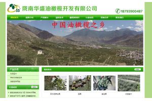 隴南華盛油橄欖開發(fā)有限公司